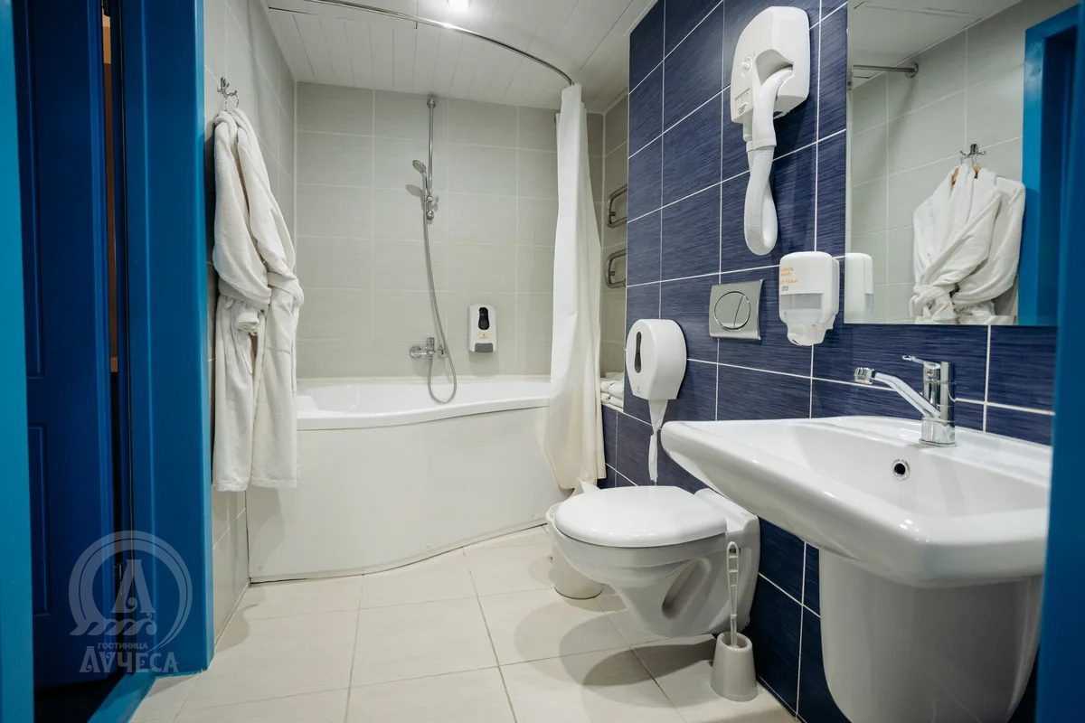 Стандартный Дабл со спальней - фото 4